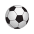 莱斯霍兹logo