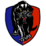 南阿德莱德后备队logo